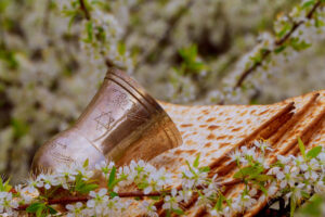 matzah and wineglass in a field