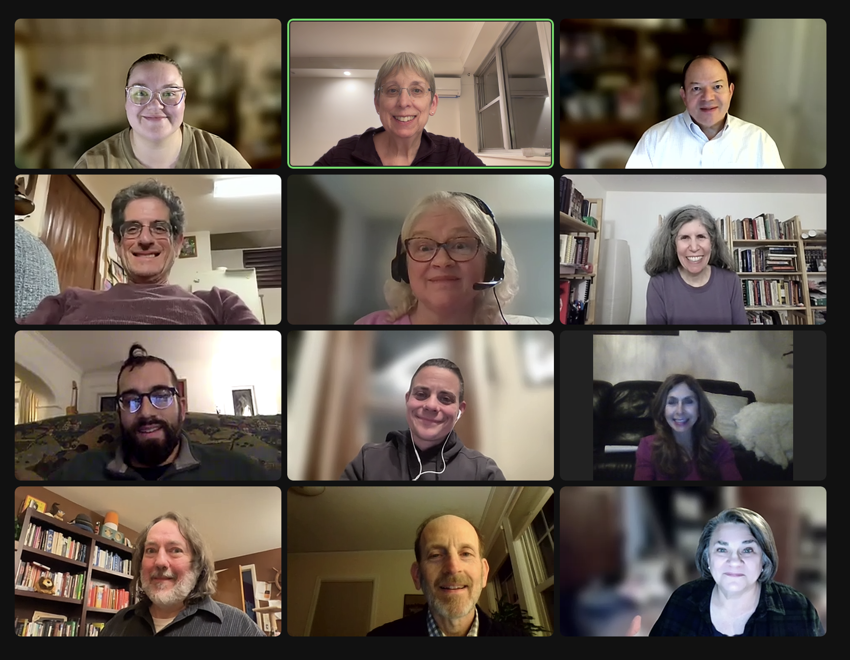 Our 2025 Board in Zoomland