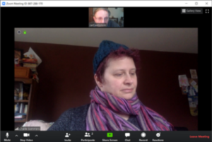 Screenshot of typical online Zoom meeting