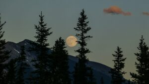 Moon in lighter sky behind dark hillside and pine trees